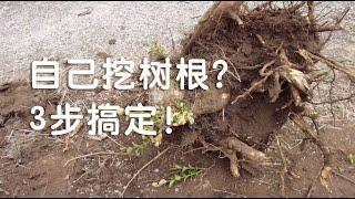 3分钟搞定挖树根 | 除树根 | Tree stump removal