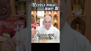 너무 오냐오냐 키웠더니 벌어진 일