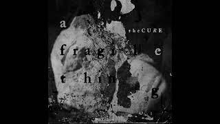 The Cure - A Fragile Thing (RS24 Remix)