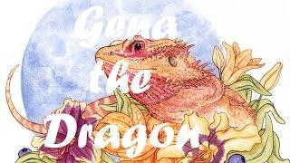 Как обустроить террариум для агамы- новая игрушка