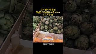 저 정도 크기면 안잡히는게 이상해 #파리