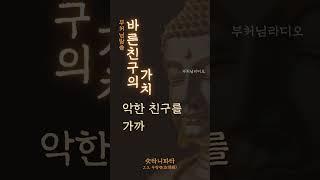 바른 친구의 가치 | 숫타니파타 2.3, 우정경 | 부처님말씀 | 석가모니 명언 #마음치유 #불교방송