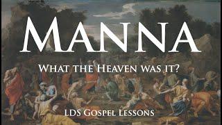 Manna - What the Heaven was it?