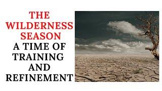 The Wilderness Season (A Painful Beautiful Season Of Training and Refinement By God)