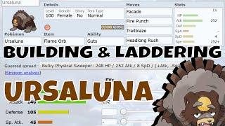 Building & Battling Ursaluna in SV OU!