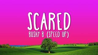 Bushy B - Scared (speed up) Lyrics