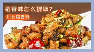 【第一美食】川北稻香鸡的稻香味怎么提取？阿飞给你讲解技巧，点透很简单