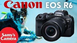 How To Photograph Dogs With The Canon EOS R6