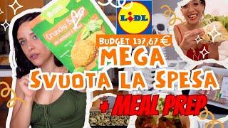 MEGA SVUOTA LA SPESA MENSILE DI SETTEMBRE LIDL  + Organizzazione pasti