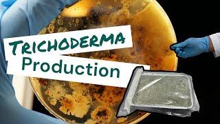 How to produce Trichoderma ?! Learn with us