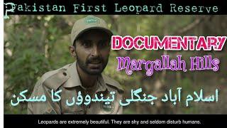 Pakistan 1st leopard #documentary| Margallah Hills National Park | wildlife of pakistan