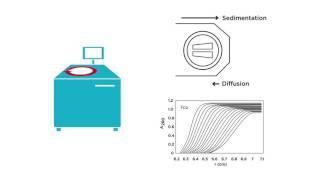 Introduction to Analytical Ultracentrifugation: AUC 101