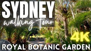 The Royal Botanic Garden Sydney 4K  Virtual Sydney Walk  Australia Waking Tour (No Talking)