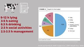 Lameness in Dairy Cattle: Impact of Nutrition