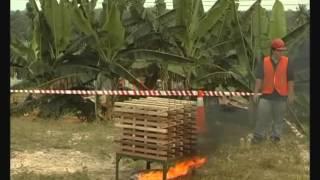 SOTERIA THROWABLE FIRE EXTINGUISHER - DEEP SEATED FIRE