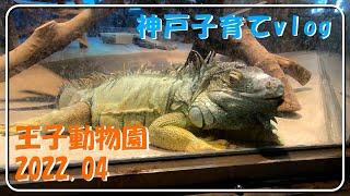 【神戸子育てvlog】王子動物園 2022年4月 灘区 神戸市 兵庫県