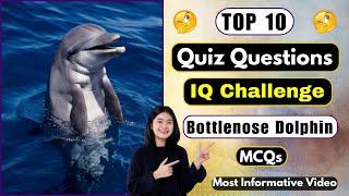 10 Mind Blowing Facts About Bottlenose Dolphins | Quiz Questions | Fun Quizzes | Helian GK Quiz