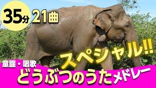 動物のうた・童謡メドレースペシャル〈35分21曲〉0~3歳児におすすめ！ぞうさん【途中スキップ広告ナシ】アニメーション/日本語歌詞付き_Sing a medley ofJapanese song