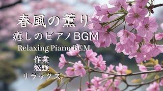 春のピアノBGM｜春風に包まれる癒し音楽｜リラックス・勉強・睡眠 (Spring Piano Music | Relaxing & Focus Music for Sleep & Study)