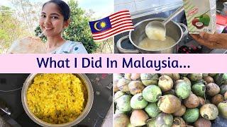 What I Did in Malaysia | Junior doctor vlogs