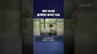 제주 야시장 충격적인 중국인 모습 #shorts / KBS