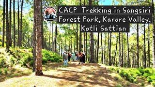 Trekking in Sangsiri Forest Park| CACP in Karore Valley, Kotli Sattian @SundusAslamKhan-sh2123