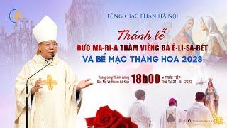 [TRỰC TIẾP] Thánh lễ Đức Ma-ri-a đi thăm viếng bà Thánh Ê-li-sa-bét