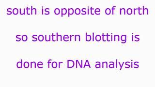 ANALYSIS OF NUCLEIC ACIDS