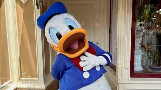 Meeting Donald Duck on His 90th Birthday! | Disneyland 2024