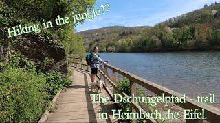 Hiking in the jungle??? The Dschungelpfad - trail in Heimbach, the Eifel.