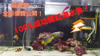 100%成功開缸海水魚！超實用，全部價錢公開！ 簡易開設海水魚缸 (新手必學，自家經驗分享初建新海水魚缸心得！)