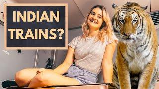 $20 TRAIN Travel in INDIA to see TIGERS Rajasthan 