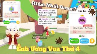 Play Together | Bắt Thành Công Siêu Phẩm Cua Dừa, Ễnh Ương Vua Thứ 4, Đào Full Rương Phục Hưng #91