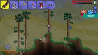 Terraria #6