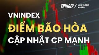 NẾU ĐÂY LÀ ĐỈNH SÓNG HỒI ? CẬP NHẬT DANH MỤC CP MẠNH