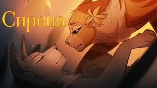 ЗАКАЗ Коты Воители Звёздный Цветок: Сирена (Polnalyubvi)