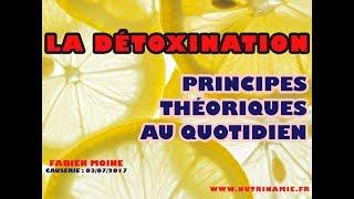 Détoxination : principes théoriques au quotidien (Fabien Moine)