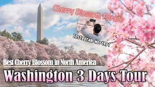 Washington DC Cherry Blossom 3 Days Tour & Clarksburg Premium Outlets｜Taipan Tours