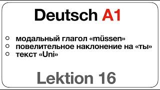 Deutsch A1 (Lektion 16: модальный глагол «müssen», повелительное наклонение на «ты», текст «Uni»)