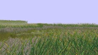 Endless Grass Simulation