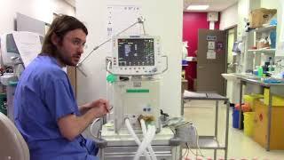 GE Engstrom Carestation Ventilator basic user guide training