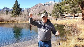 Fishing In California - Bishop CA