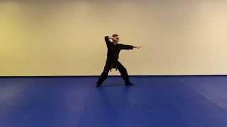Vision Martial Arts: Chung Mu