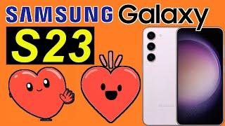 Samsung Galaxy S23 - sehr zufrieden ich bin | SeppelPower