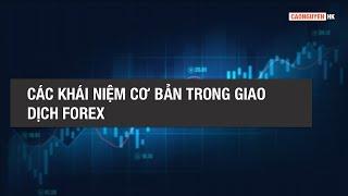 BÀI 1 - CÁC KHÁI NIỆM CƠ BẢN TRONG GIAO DỊCH FOREX