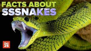 25 SHOCKING Snake Facts