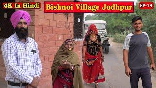 Bishnoi Village Jodhpur | बिश्नोई गांव जोधपुर | EP 14 | pack4yatra