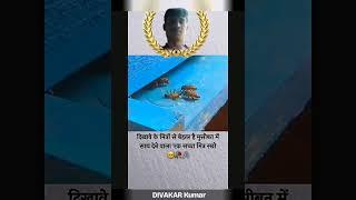 subh vichar short video motivanhashtag #motivation #musicgenre #sarbebhabantusukhinah