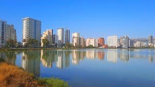 Calpe - Flamencos live here, Playa de la Fossa #emigraraespaña #calpe #spain