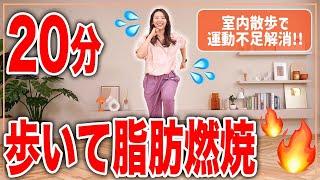 【20分室内散歩】暑い日or雨の日はおうちで歩いて脂肪燃焼！